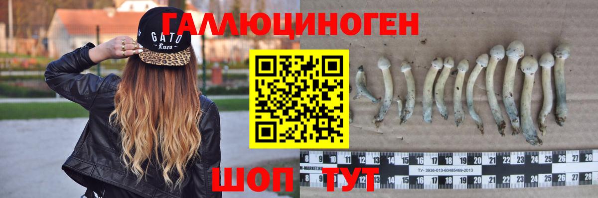 Псилоцибиновые грибы MAGIC MUSHROOMS  Галлюциногенные грибы мухоморы  Вход с VPN  Первоуральск 